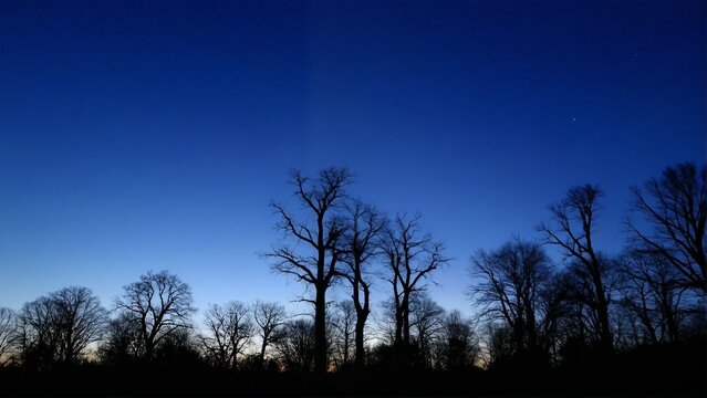 Generative A.I. creates this serene twilight scene, blending deep blues and silhouettes of trees against a fading sunset