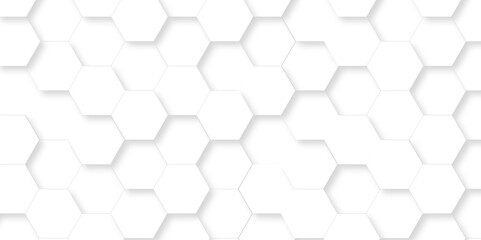 Fototapeta premium Abstract white Hexagonal Background. Luxury White Pattern. Vector Illustration. 3D Futuristic minimal honeycomb mosaic white background. geometric mesh cell texture. modern futuristic wallpaper.
