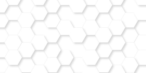Naklejka premium Abstract white Hexagonal Background. Luxury White Pattern. Vector Illustration. 3D Futuristic minimal honeycomb mosaic white background. geometric mesh cell texture. modern futuristic wallpaper.