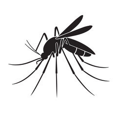 Malaria mosquito vector 