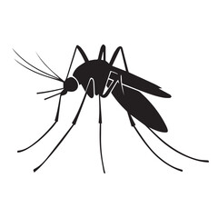 Malaria mosquito vector 