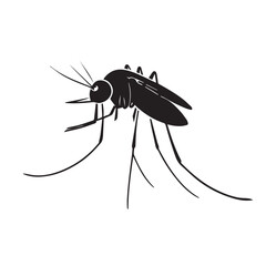 Malaria mosquito vector 