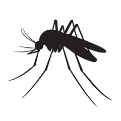 Malaria mosquito vector 