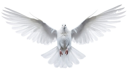 Fototapeta premium Pure White Dove on PNG Transparent Background. Symbol of Peace, Love, and Hope 