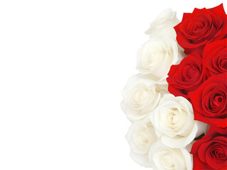 Illustration of Red and White Roses Floral Transparent Background Bloom Roses for Wedding Romance Valentines Anniversary Celebration with Copy Space
