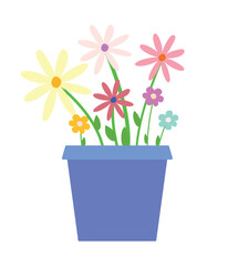 A blue pot with colorful flowers on a white background