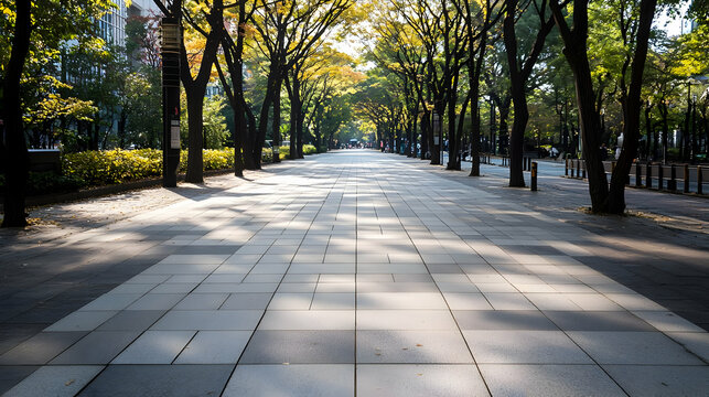 Stone Paved Pathway Lined By Tall Trees Under Warm Sunlight in a Public Park