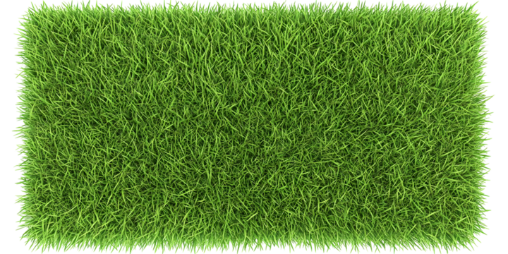 Realistic Image of Green Grass Texture Background Close Up of Lush Lawn Turf Field with Natural Vibrant Pattern for Outdoors and Landscaping Synthetic Ground Cover