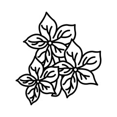 Fototapeta premium Ashoka Flower Icon