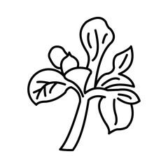 Iris Flower Icon