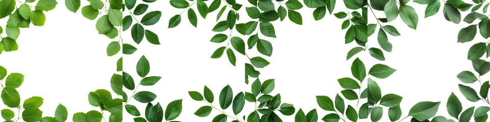 Fototapeta premium Vibrant and verdant foliage with a variety of green leaves creating a decorative border or frame around a natural background