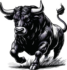 bull vector colored ilustration on tranparant background.png