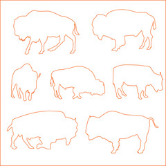 A bison vector illustration is a scalable, clean digital artwork that maintains sharpness at any size