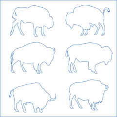 A bison vector illustration is a scalable, clean digital artwork that maintains sharpness at any size