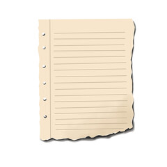 Torn Notepad Paper Sheet