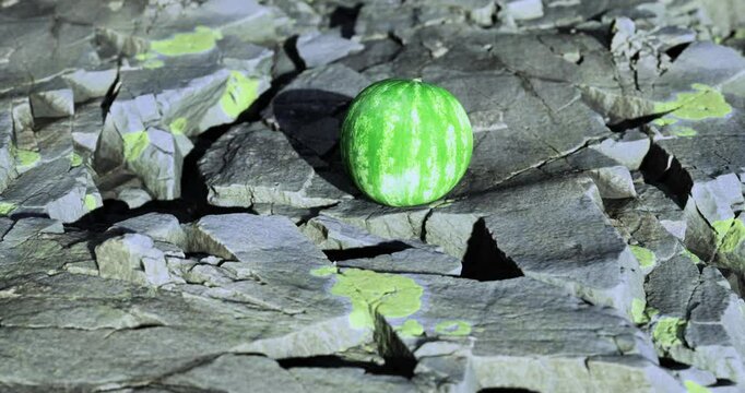 A vibrant green apple sits prominently on a rugged gray rock surface. The lighting highlights the apples glossy skin, contrasting with the rough texture of the surrounding stones.