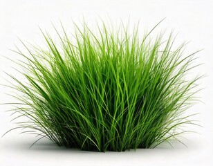 Lush Green Grass: A Vibrant, Naturalistic Illustration