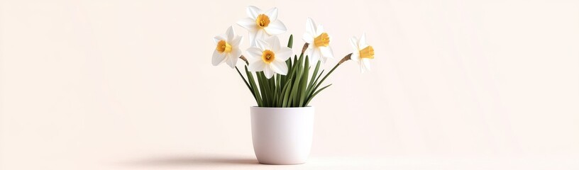 Daffodils in a Pot - Springtime Still Life