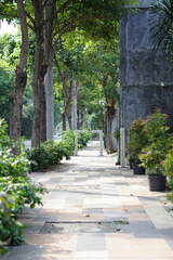 A quiet sidewalk surrounded by trees and plants during the day