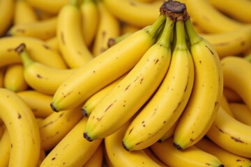 A bunch of ripe yellow bananas ready for consumption and display