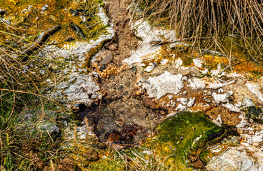 Close-up of the earth surface, Waimangu Volcanic Valley, Rotorua, North Island, New Zealand, Oceania.