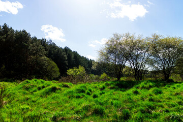 Obraz premium Landscape of beautiful Kashubia. Northern Pland.