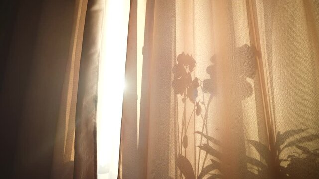 A bright ray of sunlight shines through the curtains on the window, the morning sun shines through the window