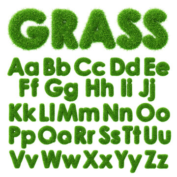 3d grass text with green fluffy font of English ABC alphabet. Fresh plant type effect. Render capital and small letters with soft furry herb texture. Nature, ecology, organic elements. 3D illustration