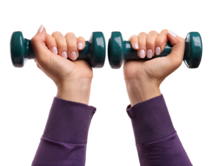 Hands holding small dumbbells, isolated on transparent background