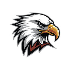 american bald eagle vector illustration