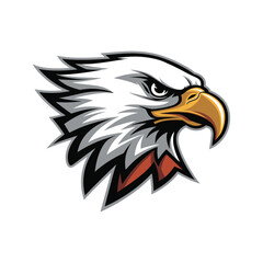 american bald eagle