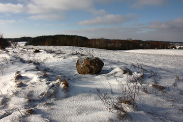 Winter frosty day. Hard solar lighting. The large stone lies on border between the field and a meadow. Everything is covered with snow. The wood is visible in the distance.
