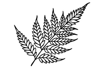 a pack of fern leaf line art silhouette vector illustration