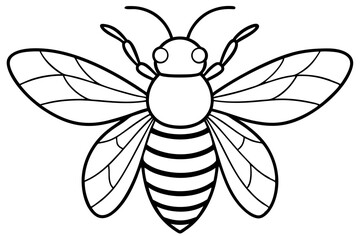 bee vector illustration