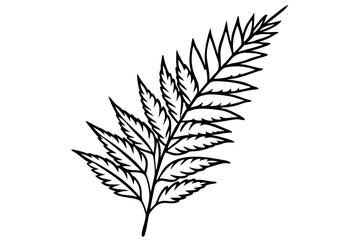 a pack of fern leaf line art silhouette vector illustration