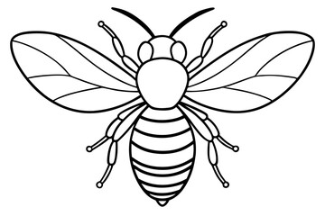 bee line art silhouette vector illustration