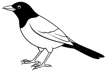 blackbird line art silhouette vector illustration