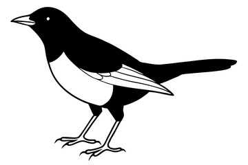 blackbird line art silhouette vector illustration