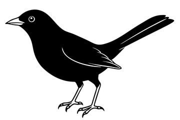 blackbird line art silhouette vector illustration
