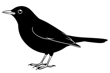 blackbird line art silhouette vector illustration