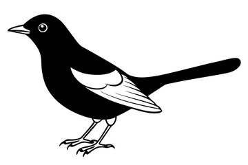 blackbird line art silhouette vector illustration