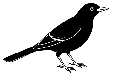 blackbird line art silhouette vector illustration