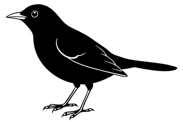 blackbird line art silhouette vector illustration