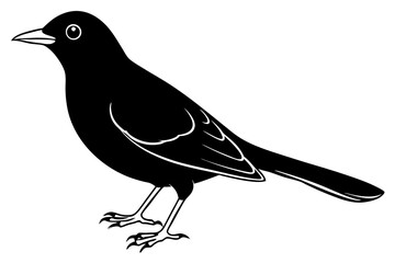 blackbird line art silhouette vector illustration