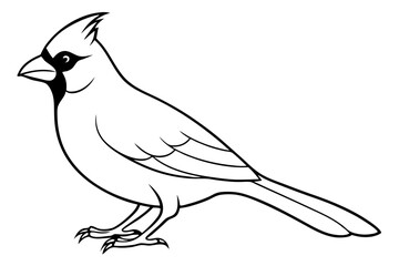 cardinal line art silhouette vector illustration