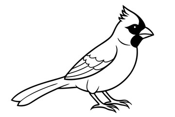 cardinal line art silhouette vector illustration