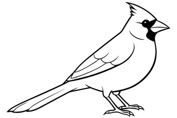 cardinal line art silhouette vector illustration
