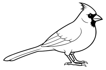 cardinal line art silhouette vector illustration