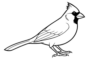 cardinal line art silhouette vector illustration
