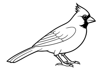 cardinal line art silhouette vector illustration